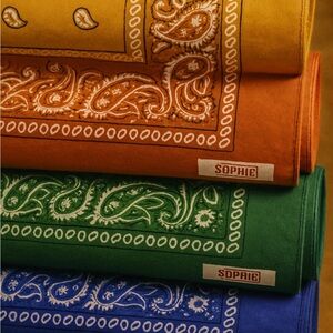 48 Bandanas! (4 packs of 12) Sophie Paisley Bandana Set